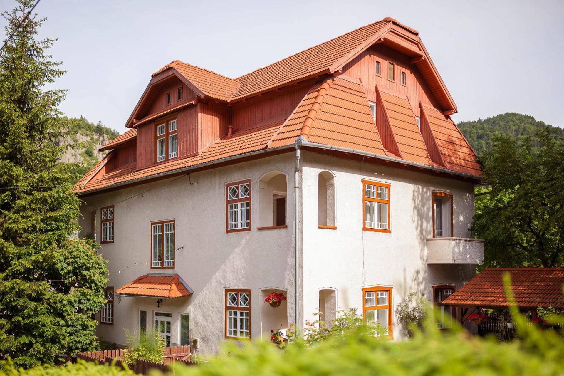 Pensiunea Ritz BaileTusnad Exterior foto